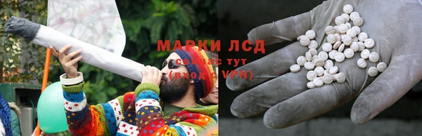 ПСИЛОЦИБИНОВЫЕ ГРИБЫ Бородино