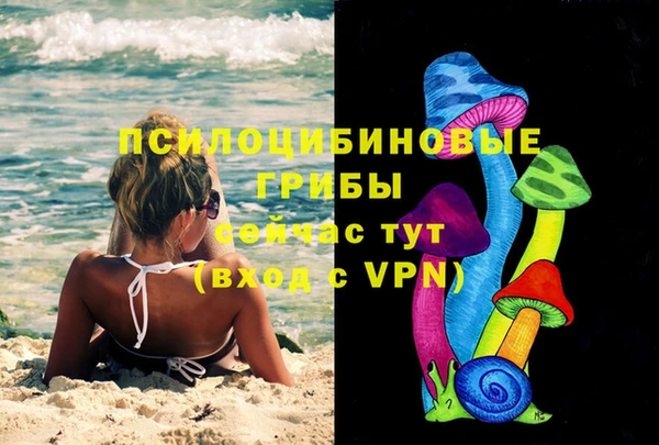 ПСИЛОЦИБИНОВЫЕ ГРИБЫ Бородино